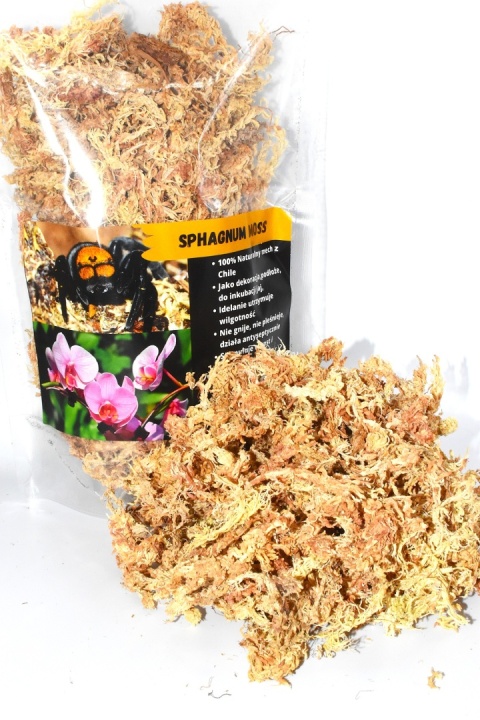 Mech torfowiec CHILE (Sphagnum moss) 1 litr